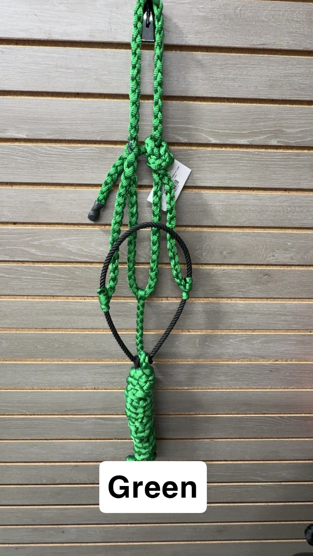 Special C Muletape Lariat Halter w/ Lead