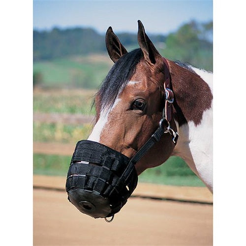 Weaver Grazing Muzzle Halter
