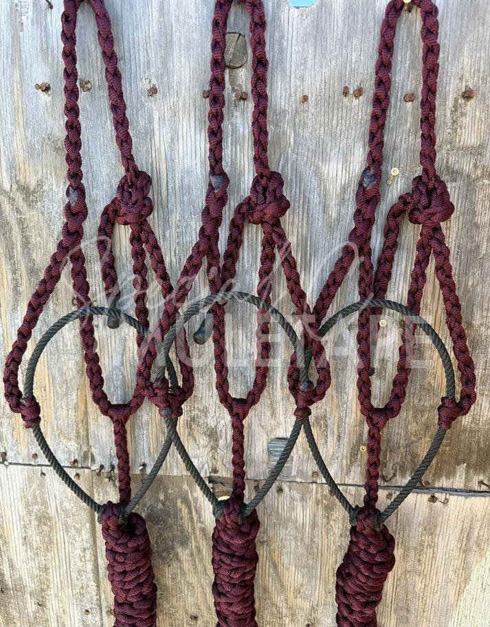 Special C Muletape Lariat Halter w/ Lead