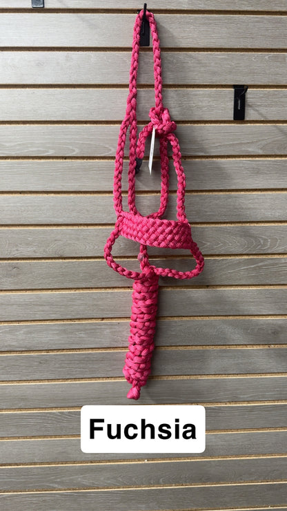 Special C Muletape Brute Halter w/ Lead