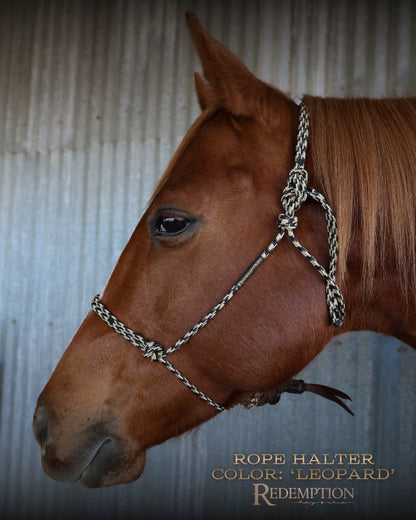 Hay Chix Redemption Rope Halter