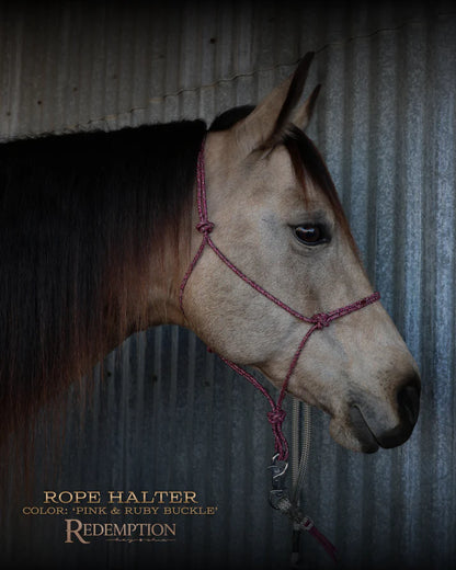 Hay Chix Redemption Rope Halter