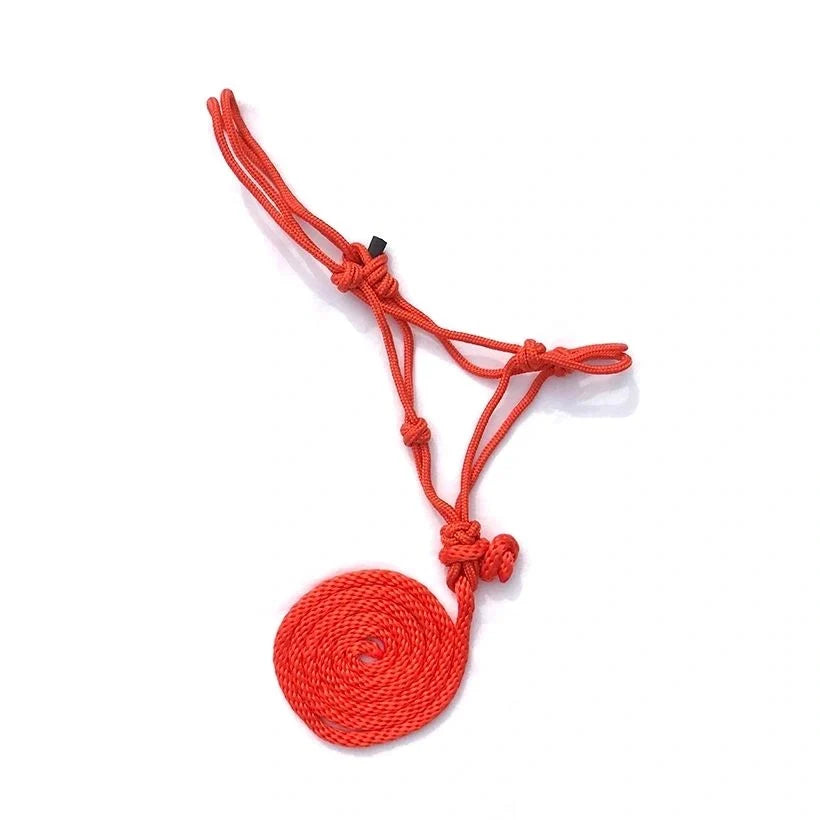 The Epic Animal Nylon Rope Halter with Lead - Mini