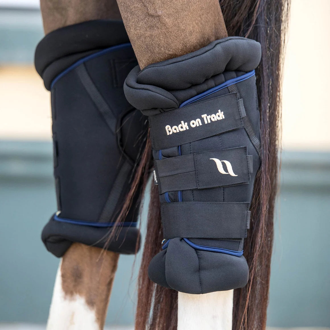 Back On Track Royal Padded Hock Boots Deluxe
