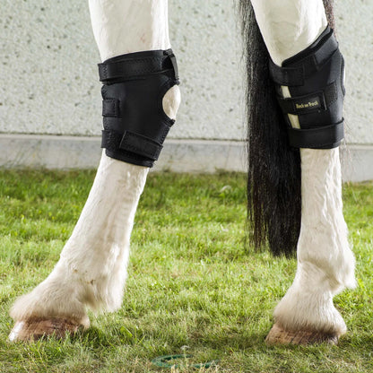 Back On Track Hock Boots w/ Hole