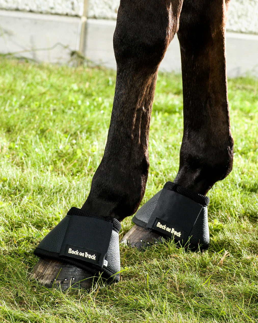 Back On Track Classic Bell Boots