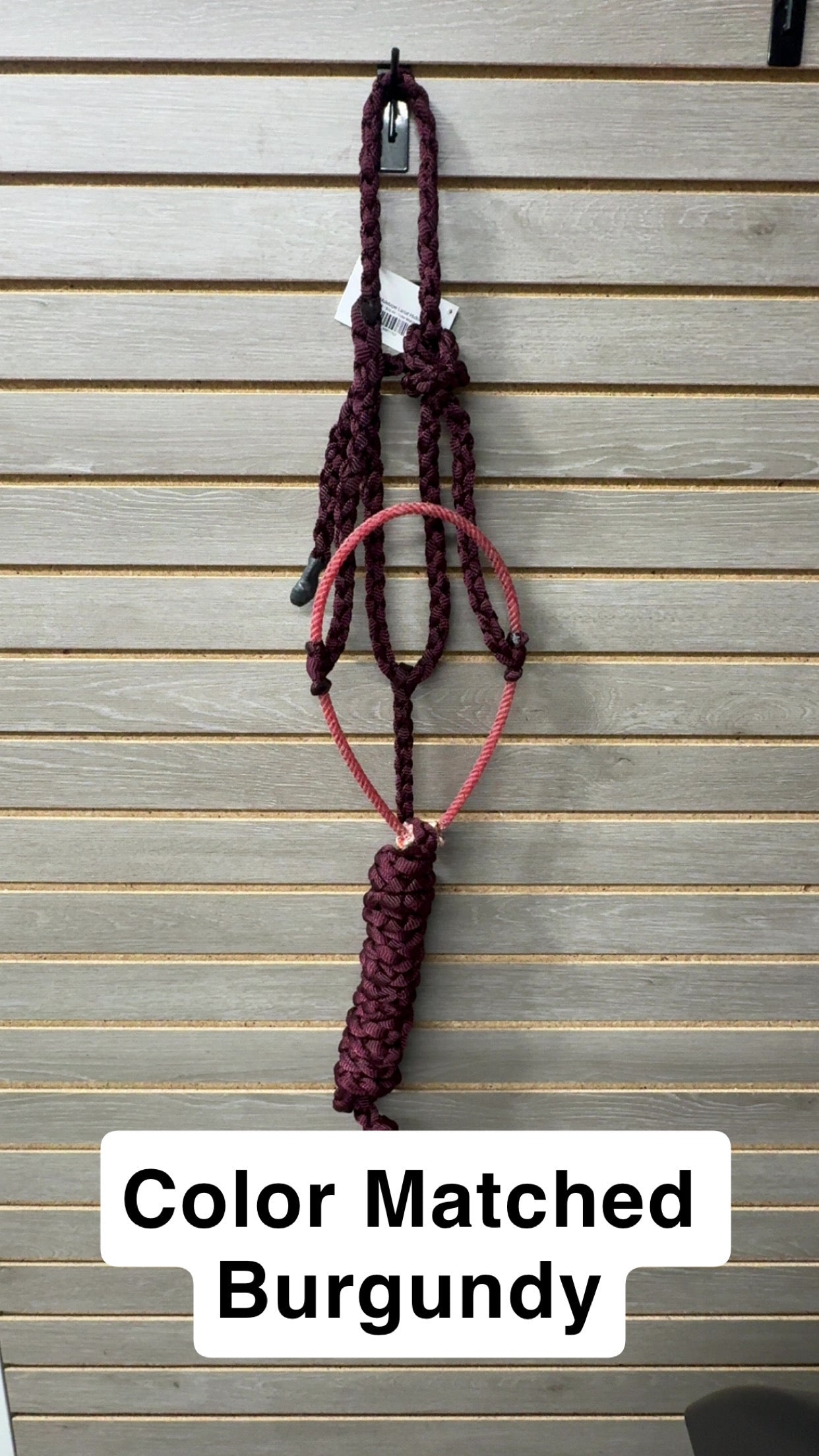 Special C Muletape Lariat Halter w/ Lead