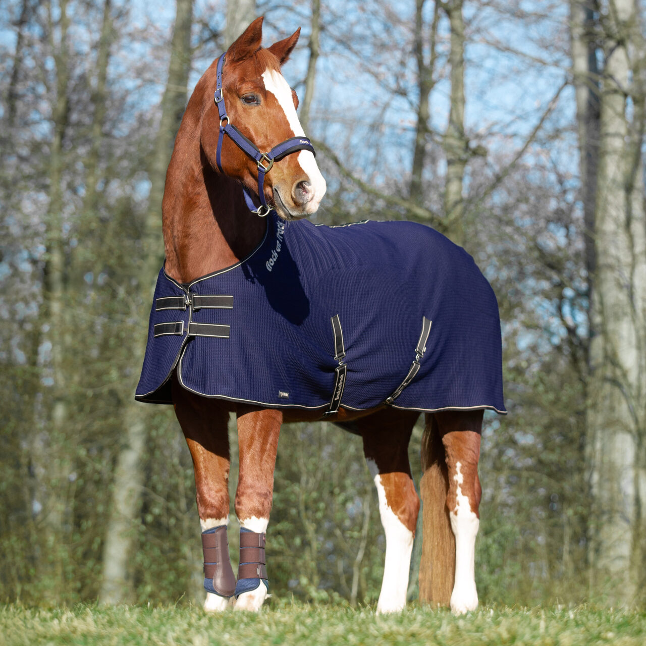 Back On Track Quick Cooler Sweat Blanket