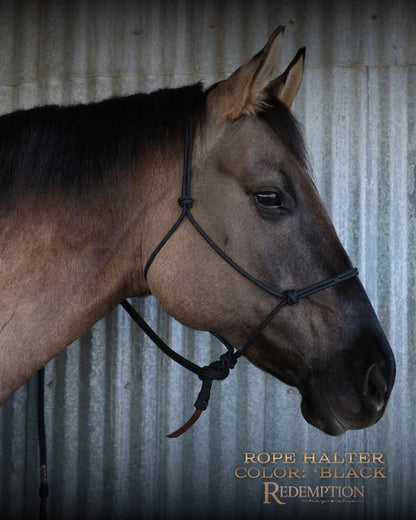 Hay Chix Redemption Rope Halter- Standard Size