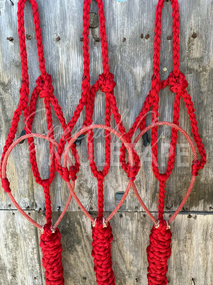 Special C Muletape Lariat Halter w/ Lead