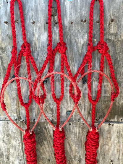 Special C Muletape Lariat Halter w/ Lead