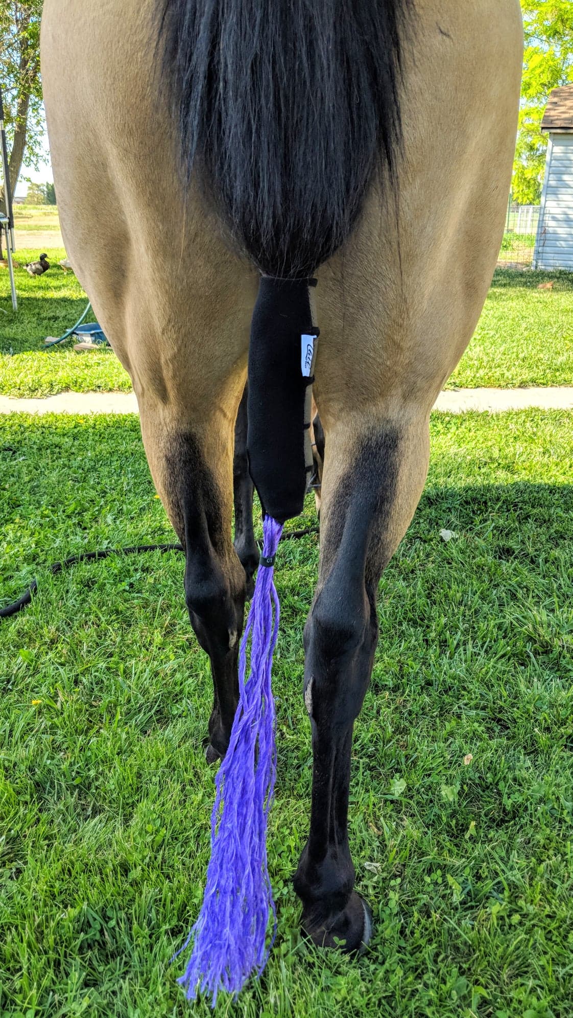 Tail Boot- Boujee Pattern Boots