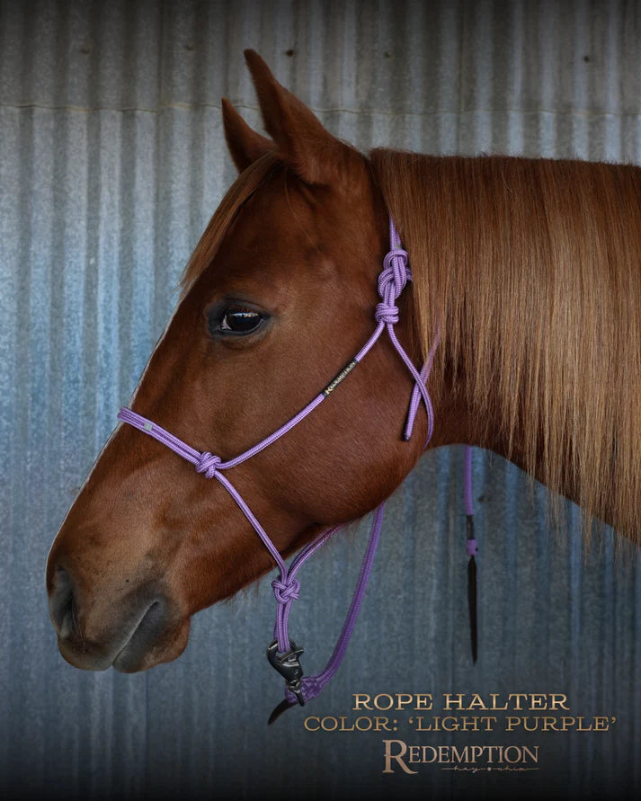 Hay Chix Redemption Rope Halter