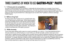 Load image into Gallery viewer, MVP Gastro-Plex Paste
