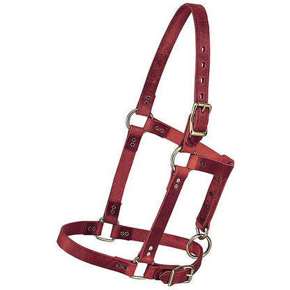 Weaver Riveted Foal Halters