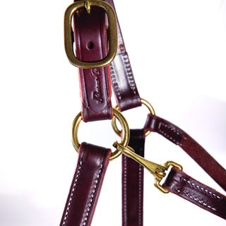 Professional's Choice Turn Out Halter