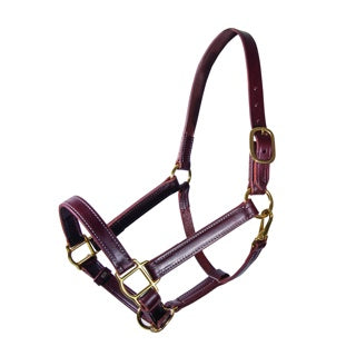 Professional's Choice Turn Out Halter