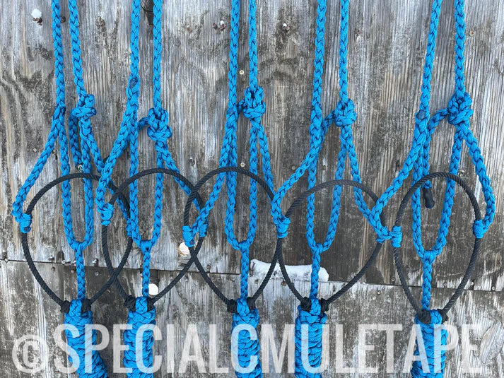 Special C Muletape Lariat Halter w/ Lead
