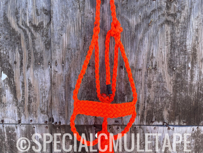 Special C Muletape Brute Halter w/ Lead