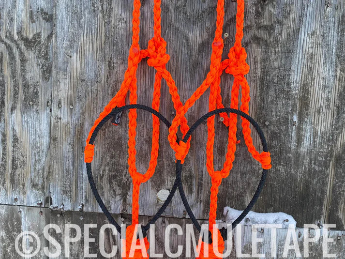 Special C Muletape Lariat Halter w/ Lead