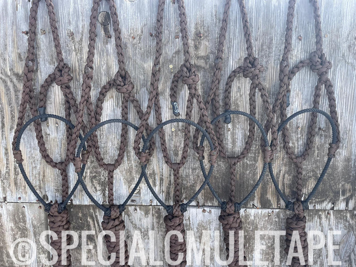 Special C Muletape Lariat Halter w/ Lead