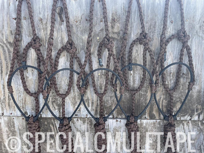 Special C Muletape Lariat Halter w/ Lead