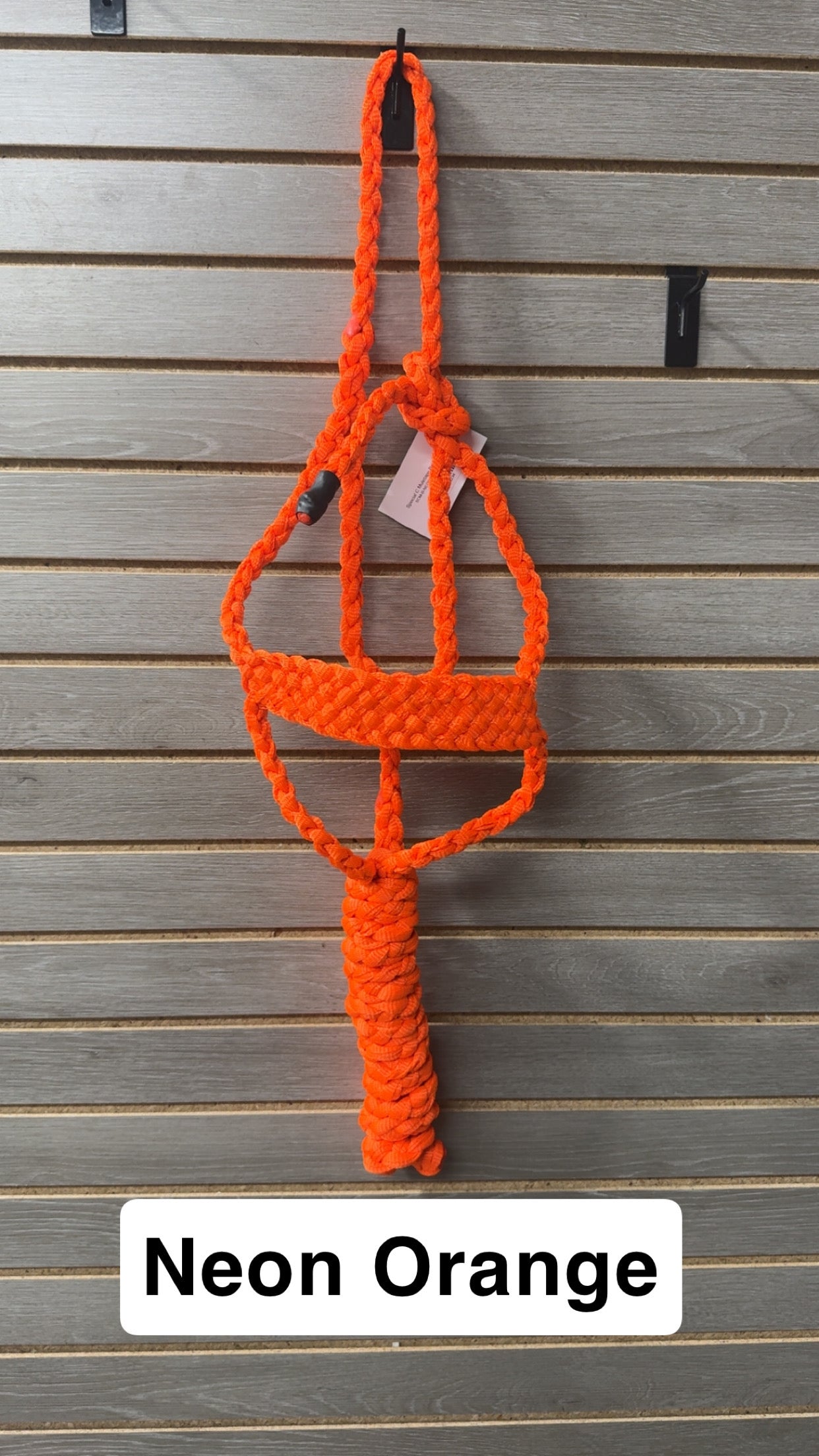 Special C Muletape Brute Halter w/ Lead