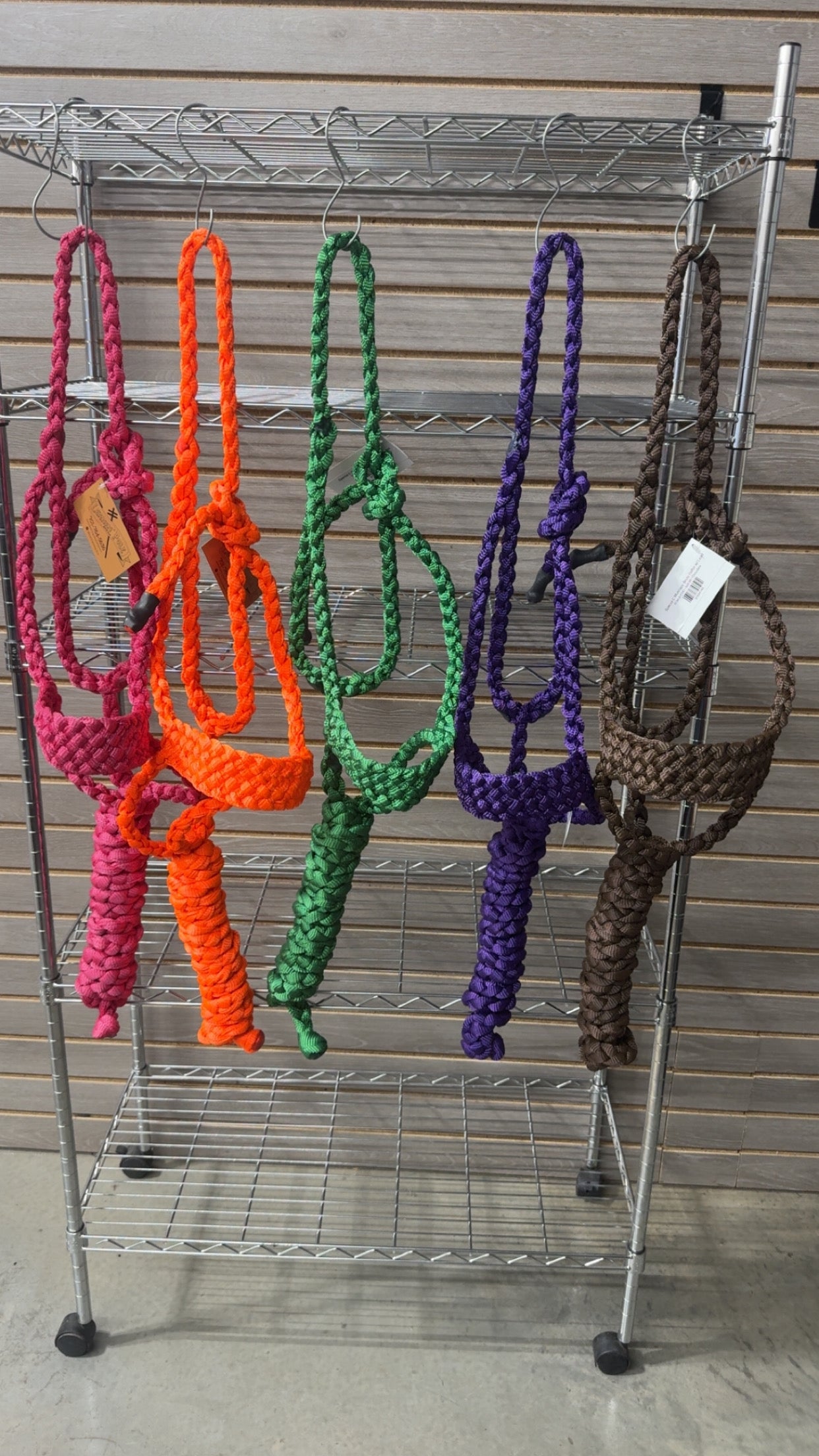 Special C Muletape Brute Halter w/ Lead