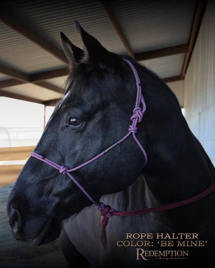 Hay Chix Redemption Rope Halter
