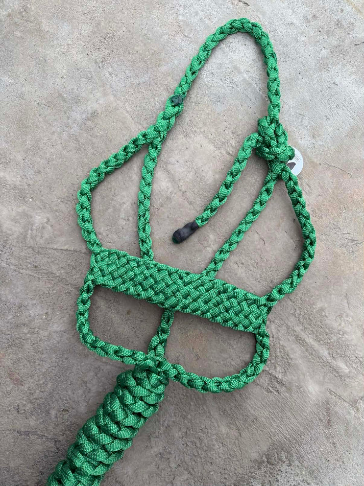 Special C Muletape Brute Halter w/ Lead