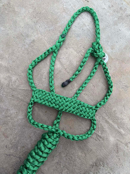 Special C Muletape Brute Halter w/ Lead