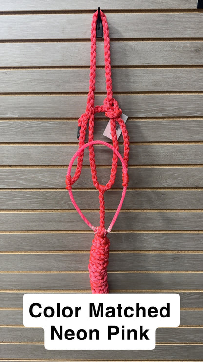 Special C Muletape Lariat Halter w/ Lead