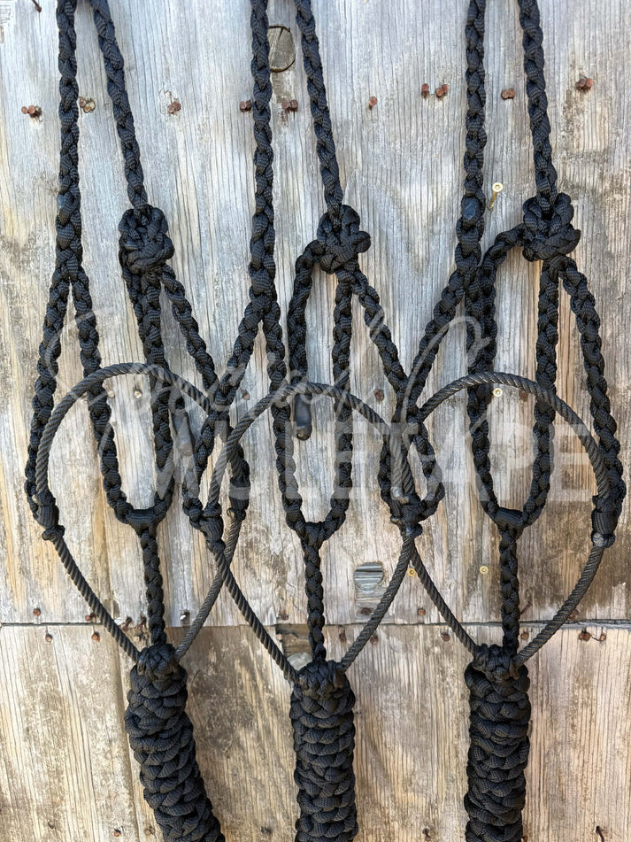 Special C Muletape Lariat Halter w/ Lead
