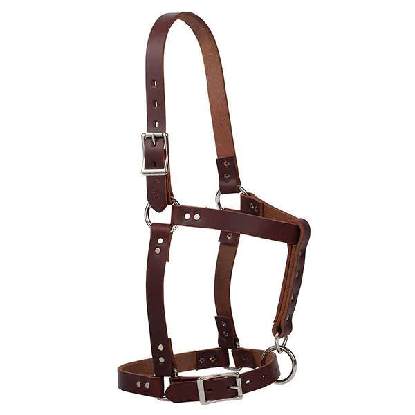 Weaver Riveted Foal Halters