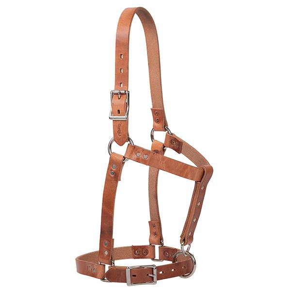 Weaver Riveted Foal Halters