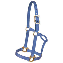 Load image into Gallery viewer, CST Large Horse/Draft Nylon Halter
