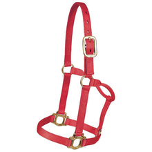 Load image into Gallery viewer, CST Large Horse/Draft Nylon Halter
