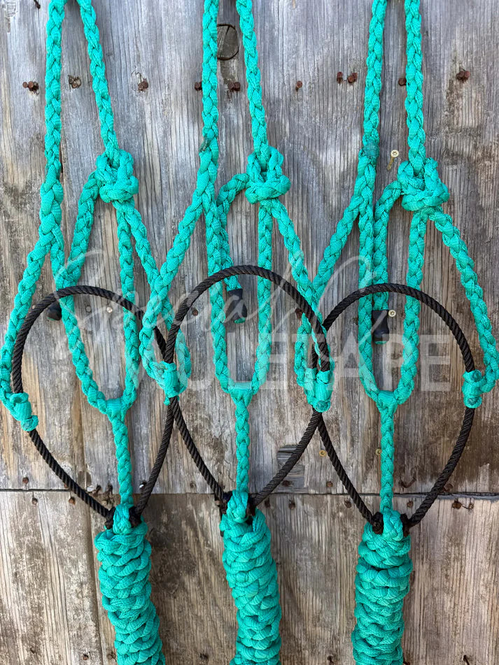 Special C Muletape Lariat Halter w/ Lead