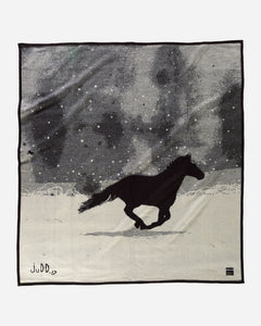 Pendleton A Horse Called Paint Unnapped Blanket