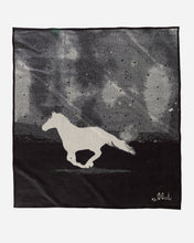 Load image into Gallery viewer, Pendleton A Horse Called Paint Unnapped Blanket
