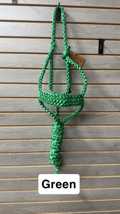 Special C Muletape Brute Halter w/ Lead