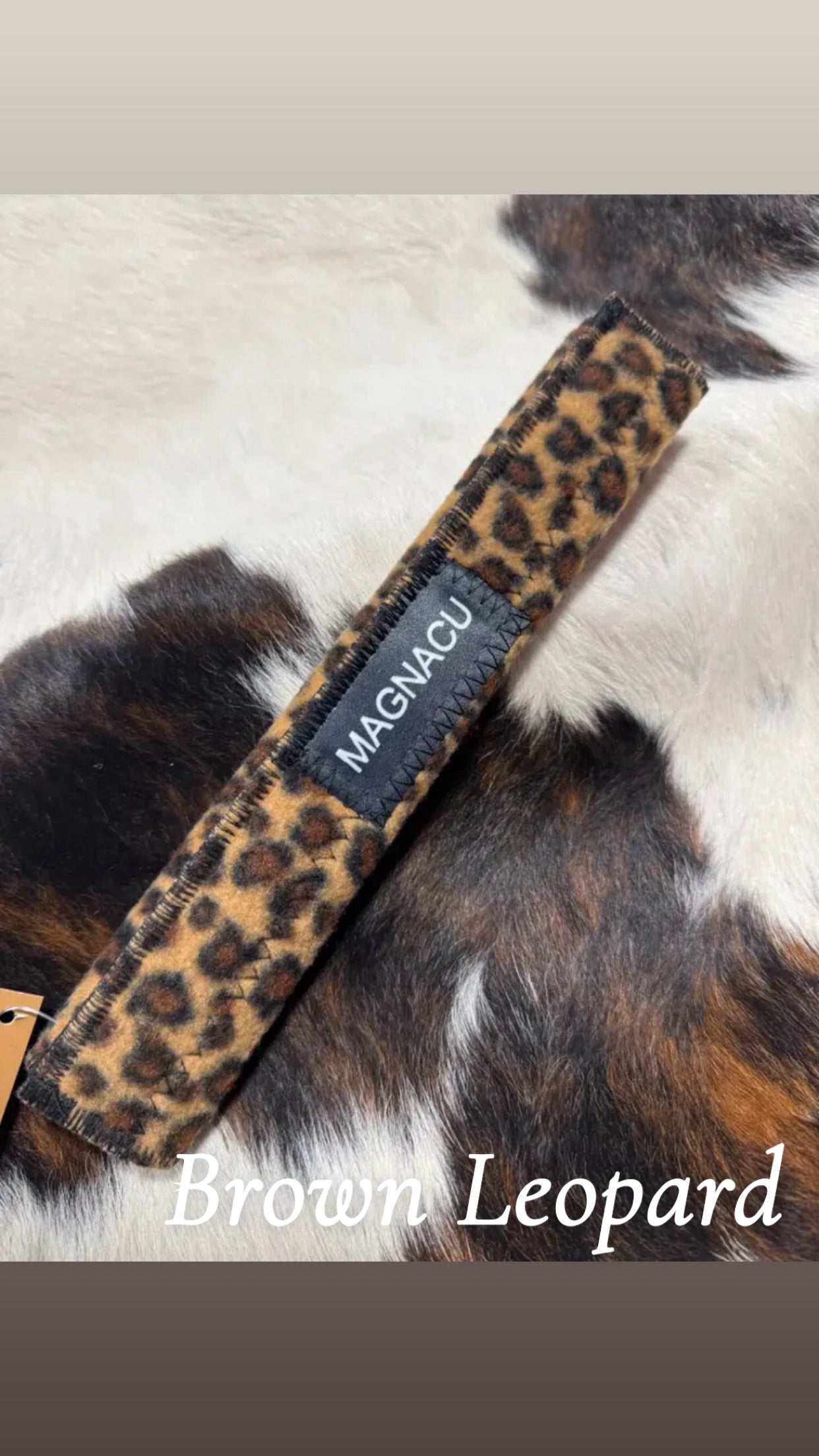 PHT Magnetic Poll Pack