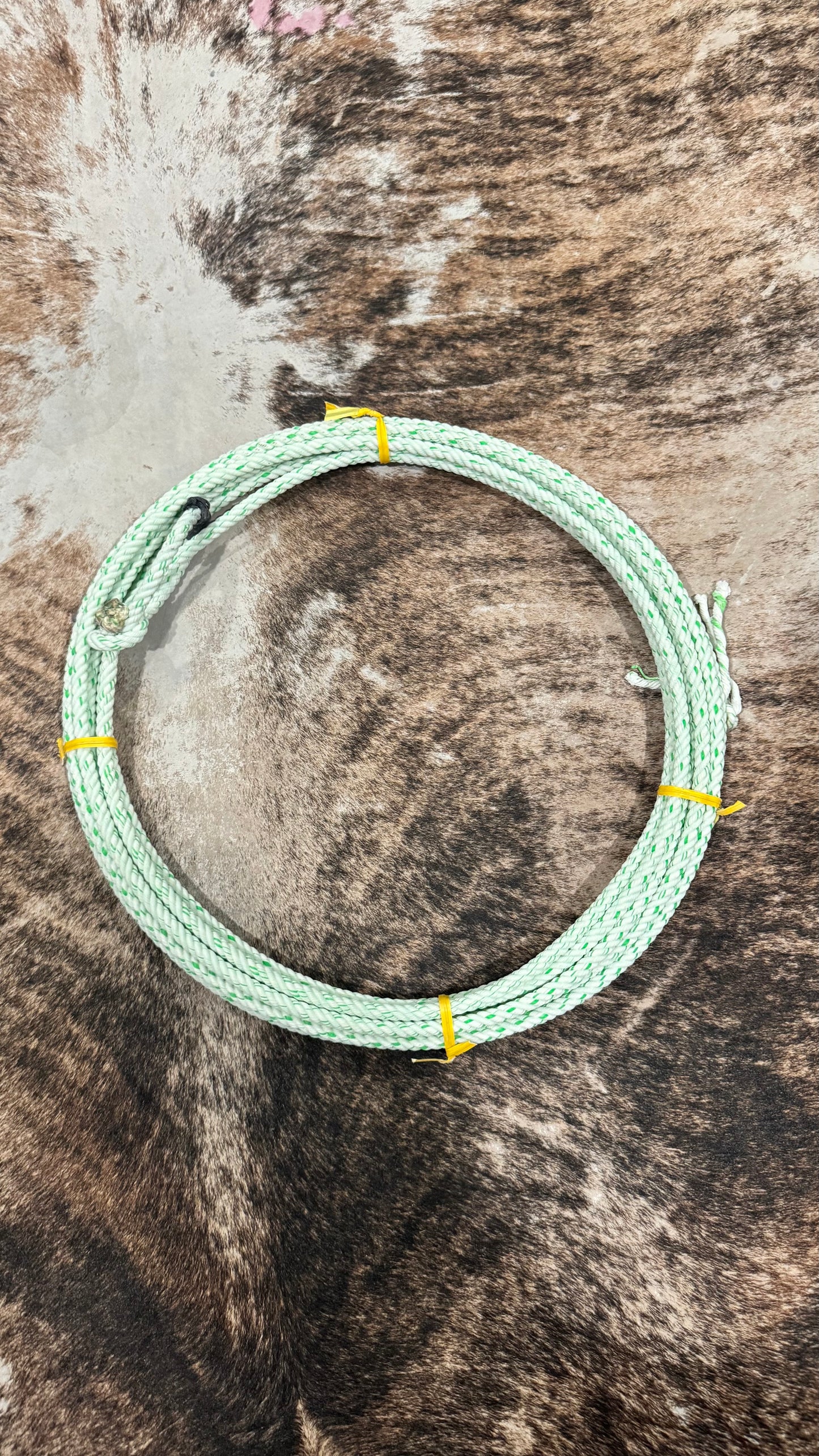 Cactus Shockwave Youth Calf Rope