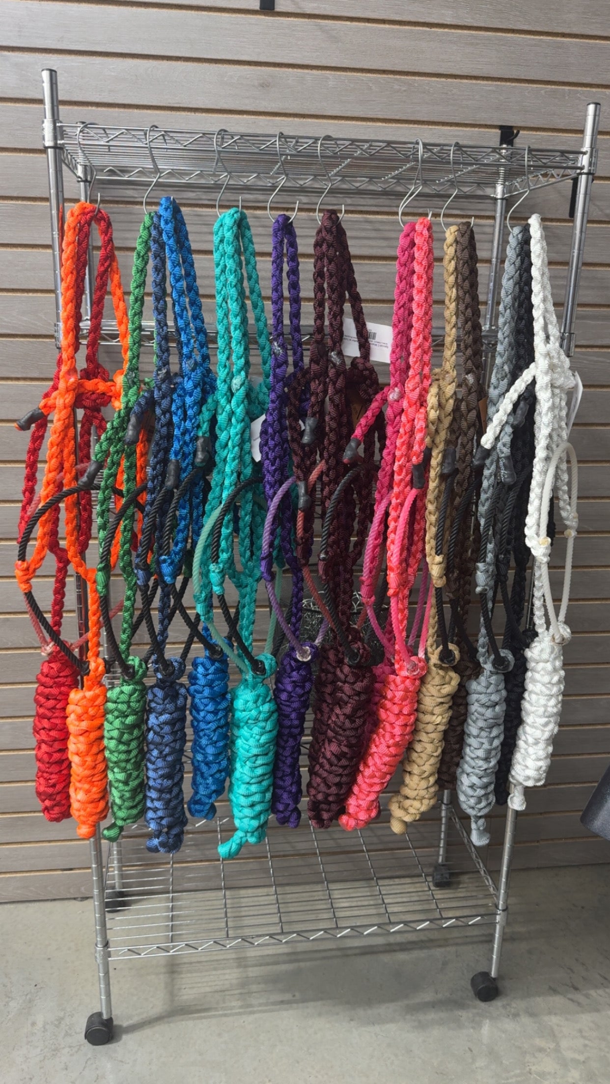 Special C Muletape Lariat Halter w/ Lead
