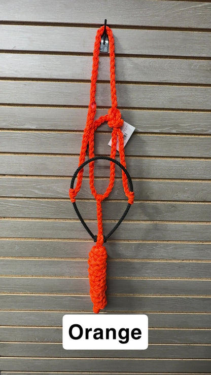 Special C Muletape Lariat Halter w/ Lead