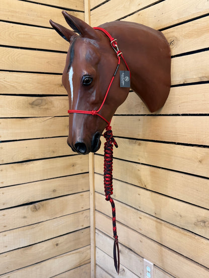 Twisted Knot Halters Rope Halter w/ Easy Off Clip & Lead