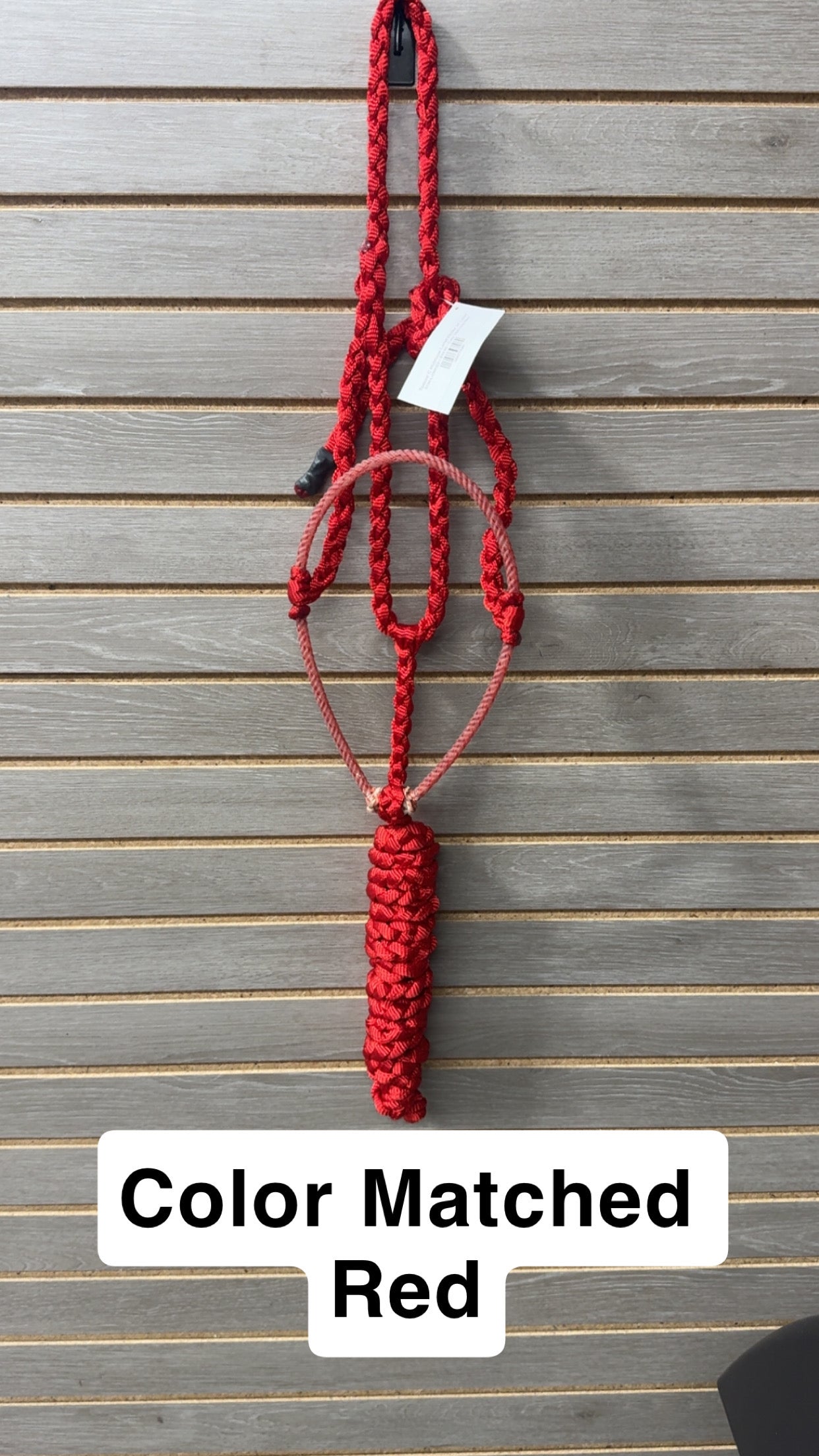 Special C Muletape Lariat Halter w/ Lead
