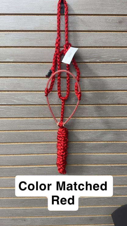 Special C Muletape Lariat Halter w/ Lead