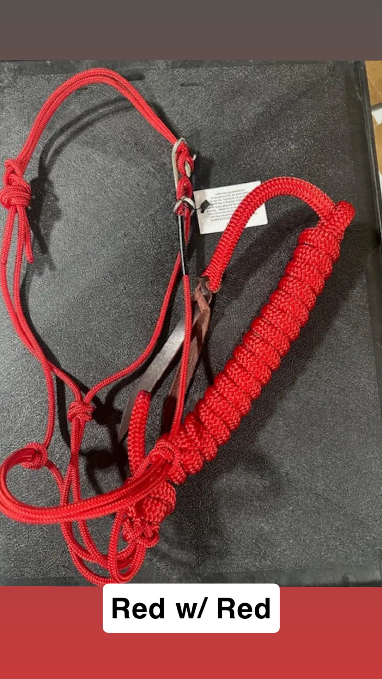 Twisted Knot Halters Rope Halter w/ Easy Off Clip & Lead