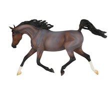 Load image into Gallery viewer, Breyer Traditional Series &quot;Picante&quot; - 2024 Limited Edition
